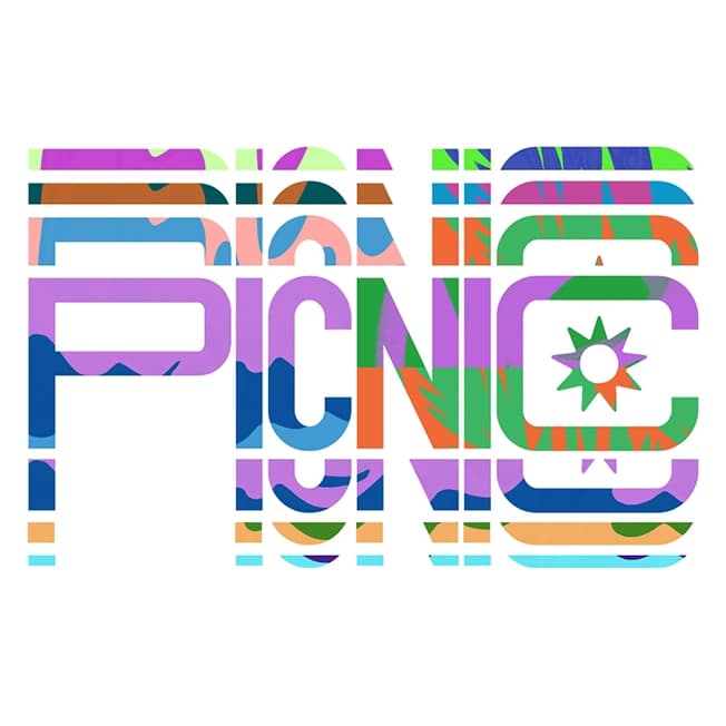 PICNIC Experience